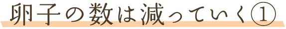 卵子の数は減っていく①
