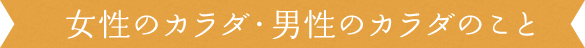 女性のカラダ・男性のカラダのこと