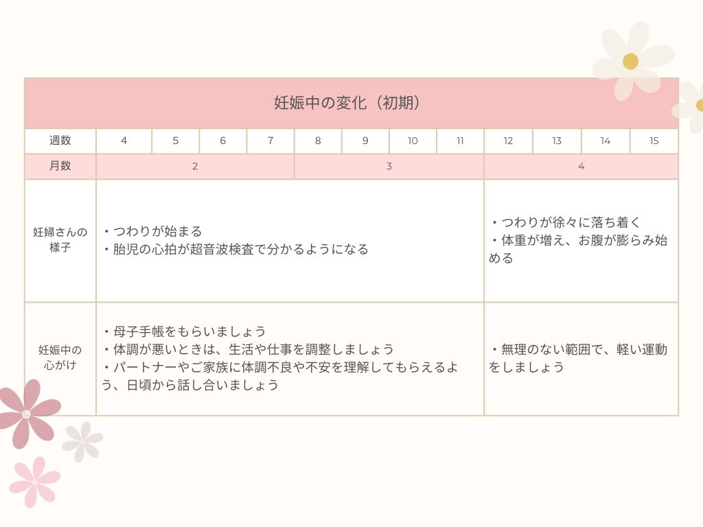 妊娠中の変化（初期）に関する表