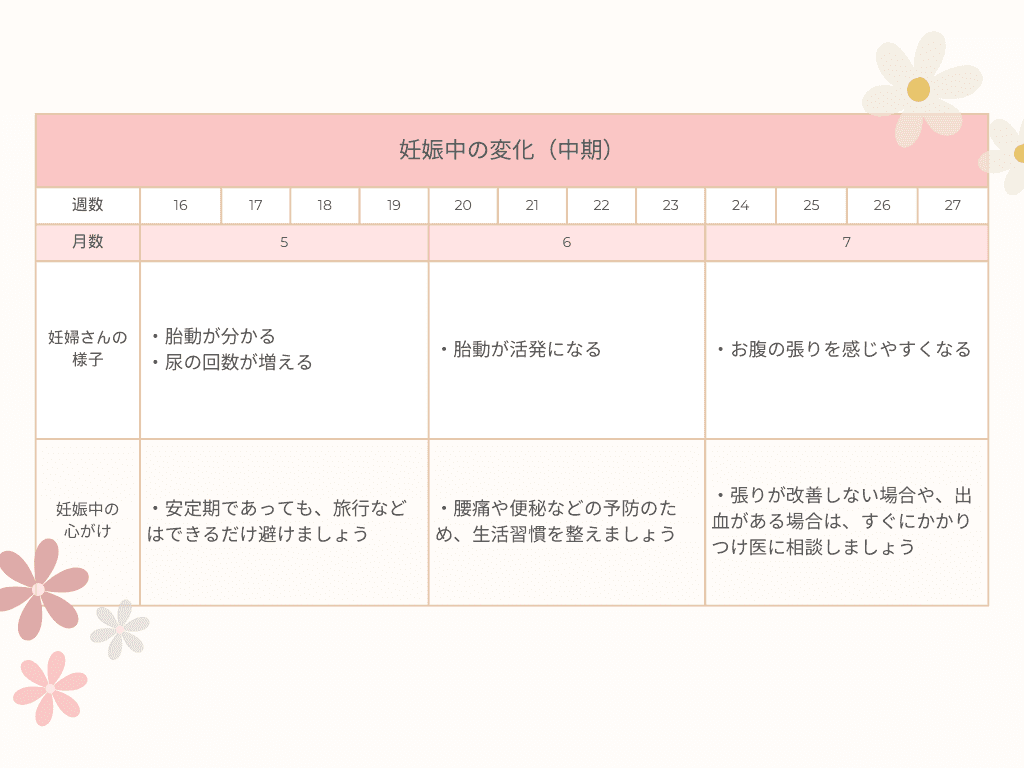 妊娠中の変化（中期）に関する表