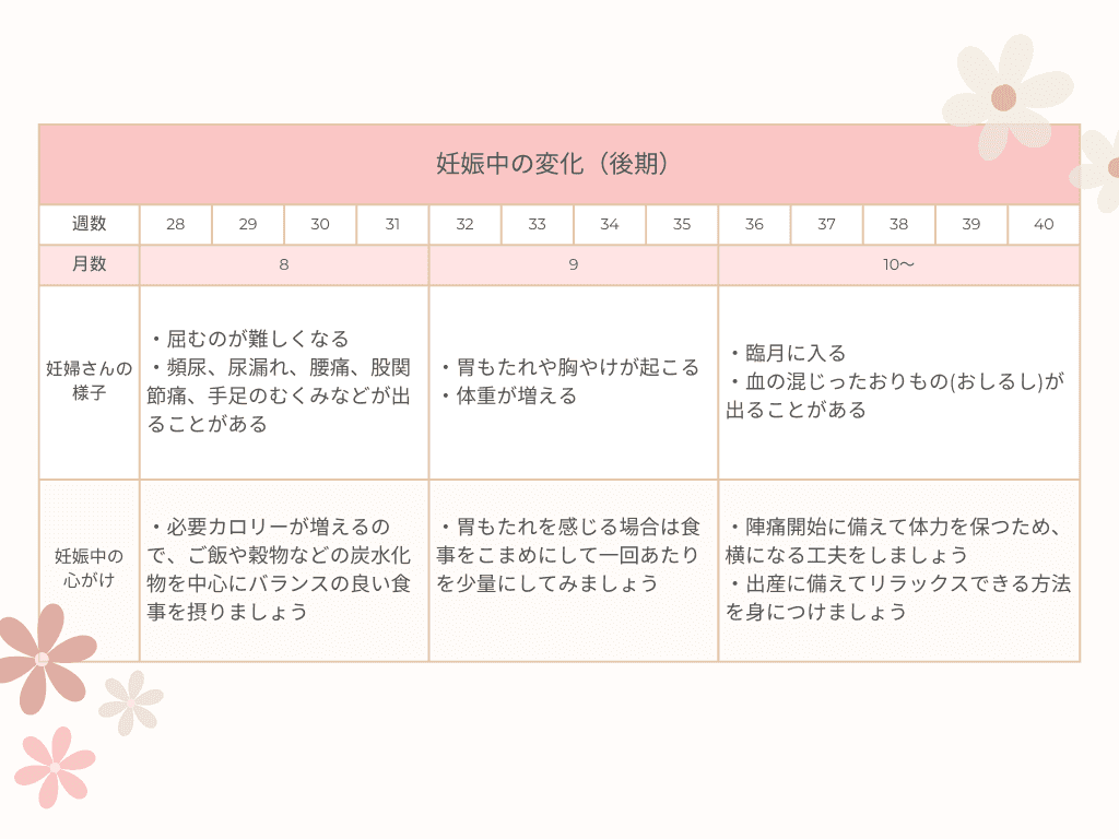 妊娠中の変化（初期）に関する表