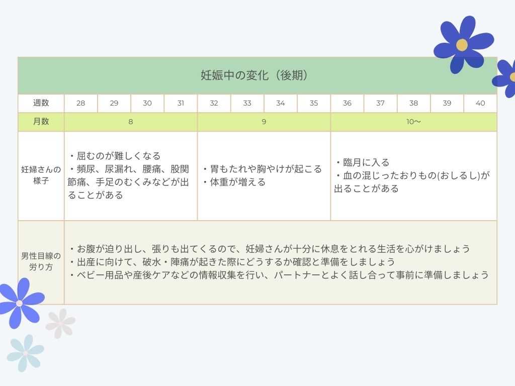 妊娠後期に関する表