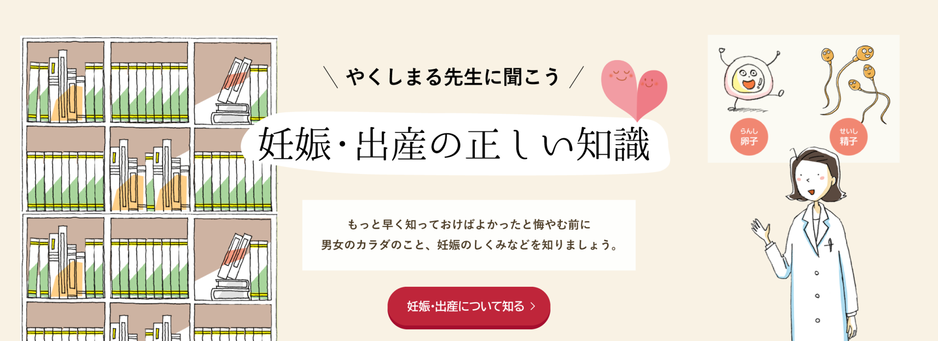妊娠・出産の正しい知識のページへ
