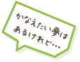 かなえたい夢はあるけれど…